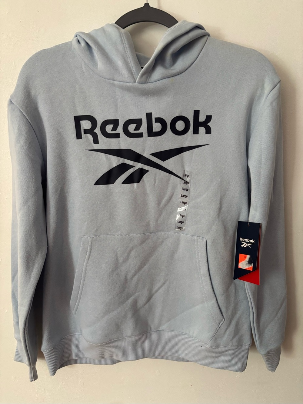 Reebok Baby Blue Hoodie